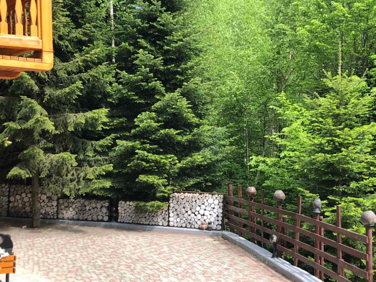 Provintsia Migovo Exterior foto
